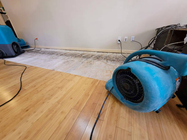 Professional Burst Pipe Water Damage technician working in Seminole, TX
